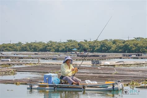 八卦網原理|四草濕地賞鳥賞生態 台江漁樂園 放大版四草隧道 不能。